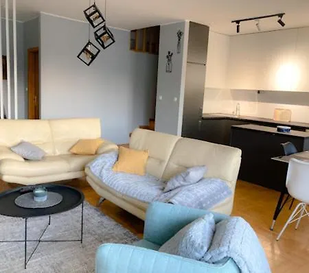 Cozy 3 Bedroom Duplex In The City Centre Σκόπια
