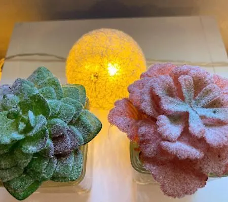 Apartament Cozy 3 Bedroom Duplex In The City Centre