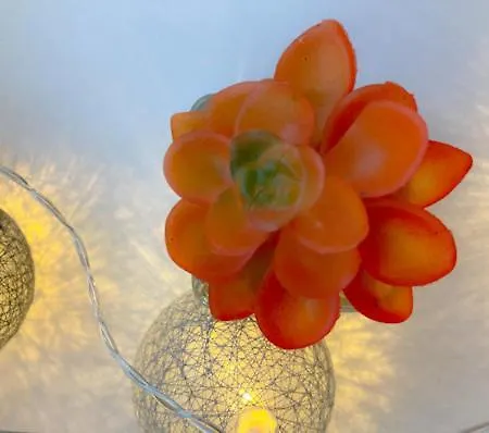 Cozy 3 Bedroom Duplex In The City Centre Apartament Skopje