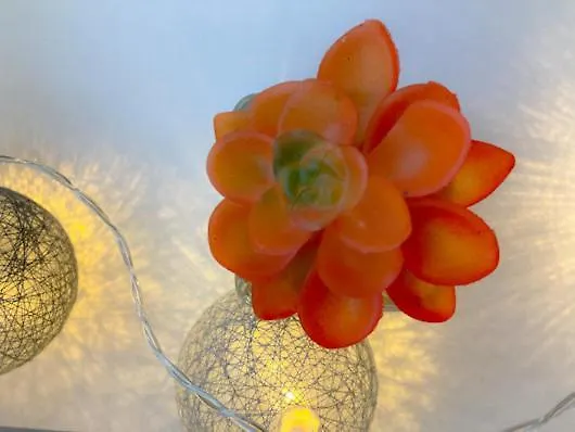 Cozy 3 Bedroom Duplex In The City Centre Apartament Skopje